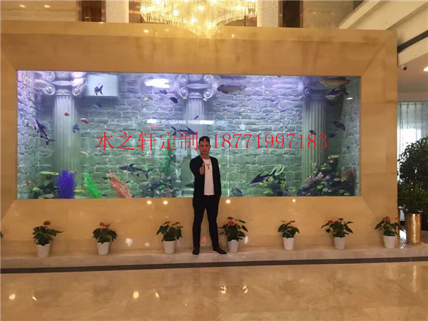 豪華魚缸
