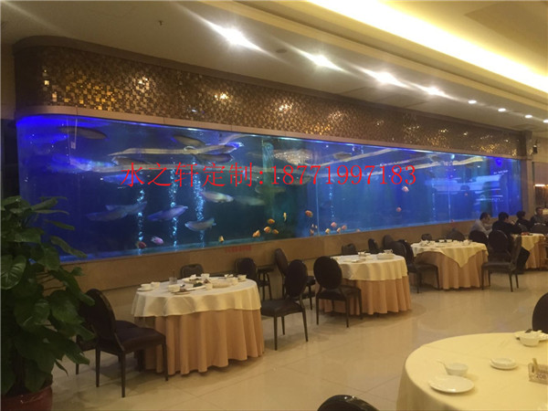 豪華魚缸