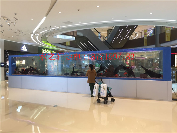 豪華魚缸
