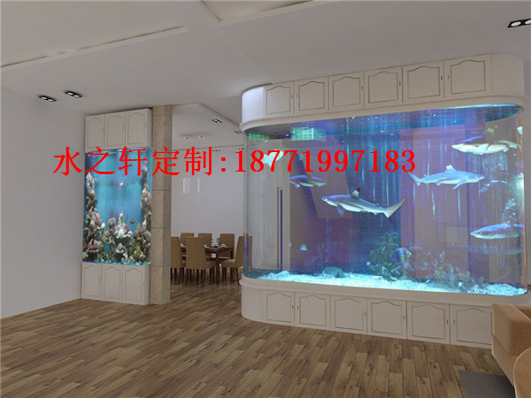 異形魚缸