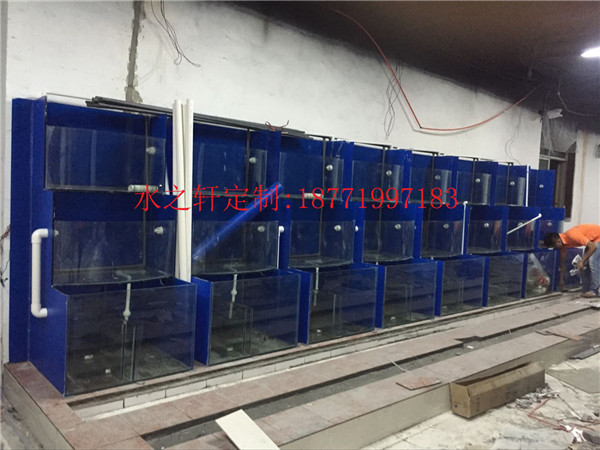 工程魚缸