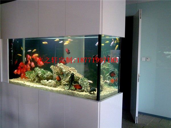 嵌入式魚(yú)缸