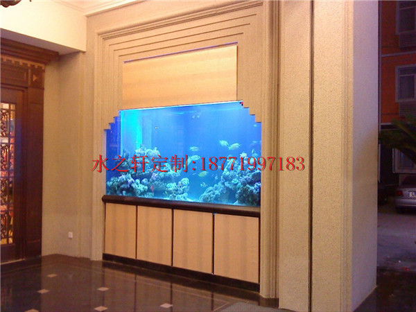 豪華魚(yú)缸