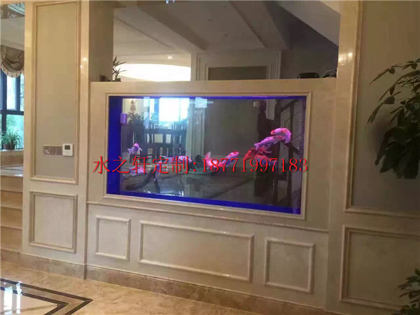 豪華魚(yú)缸