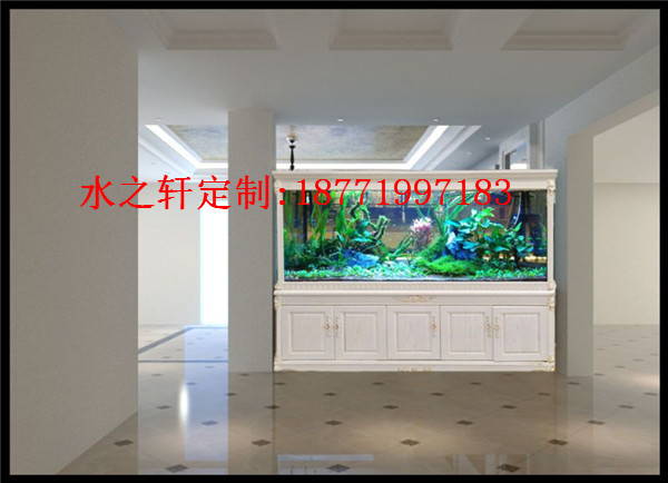 嵌入式魚(yú)缸