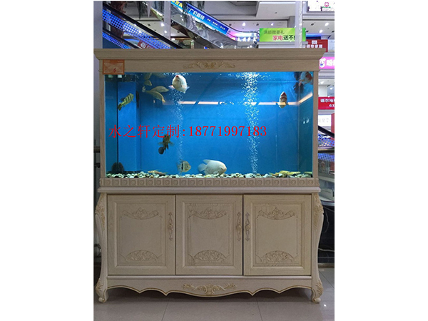 歐式魚(yú)缸